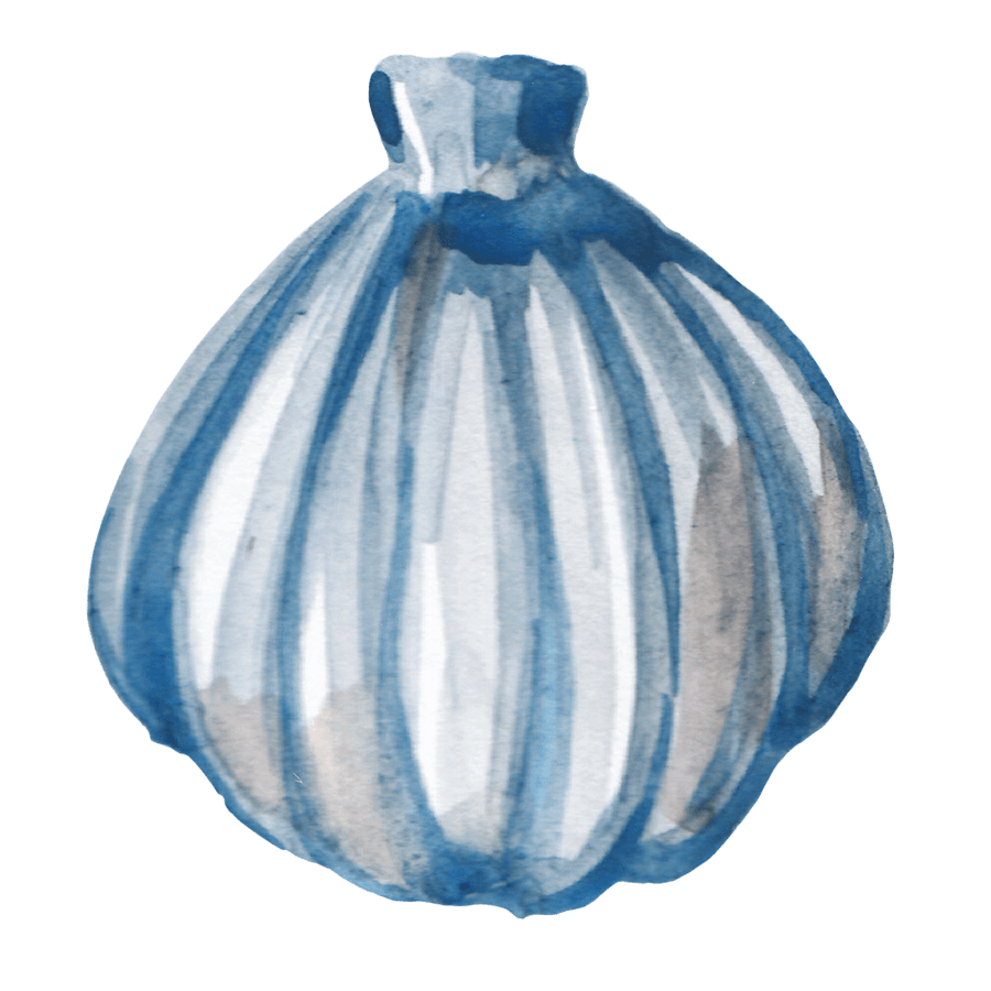 Watercolor illustration of a blue and white seashell with vertical stripes.