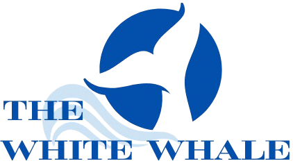 Blue whale tail logo with ocean waves and text "The White Whale" on transparent background.